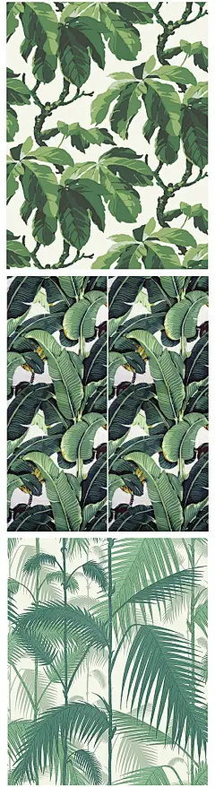 Boråstapeters Oxford, Martinique's Beverly Hills Wallpaper och Cole &amp; Sons Palm Jungle: 
