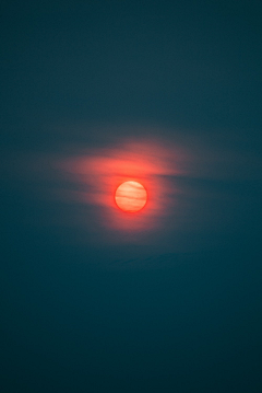 花芯不是花心采集到背景