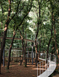 家门口的森林乐园  天津蓝光·雍锦半岛  A Forest Park Near Home   / 山水比德 :   山水比德 :  天津蓝光·雍锦半岛项目以大尺度的原生态树林为主，用巧妙的设计将人的触角延伸到自然之中。清晨，漫步在雾气弥漫的丛林中，如云游仙境般缥缈自在。傍晚，斜阳斑驳地洒落在行人身上，温暖和煦，治愈了一整天的疲倦。阳光雨露，是大自然...