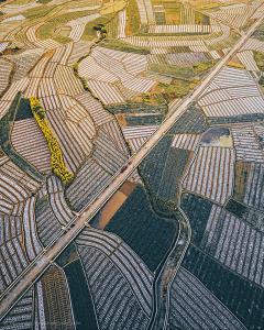 akong采集到路