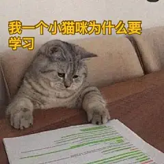 一些个摆烂猫猫表情包... - @樱花少女的微博 - 微博