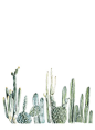 A Set Of Four 4x6 Watercolor Cactus, Cactus Prints by boyandbuffalo on Etsy