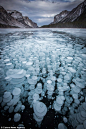 摄影师拍摄甲烷气泡在湖里冻结