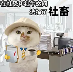 表情包｜嘿嘿，我不死了思密达 - 小红书