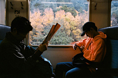 菠兽采集到场景