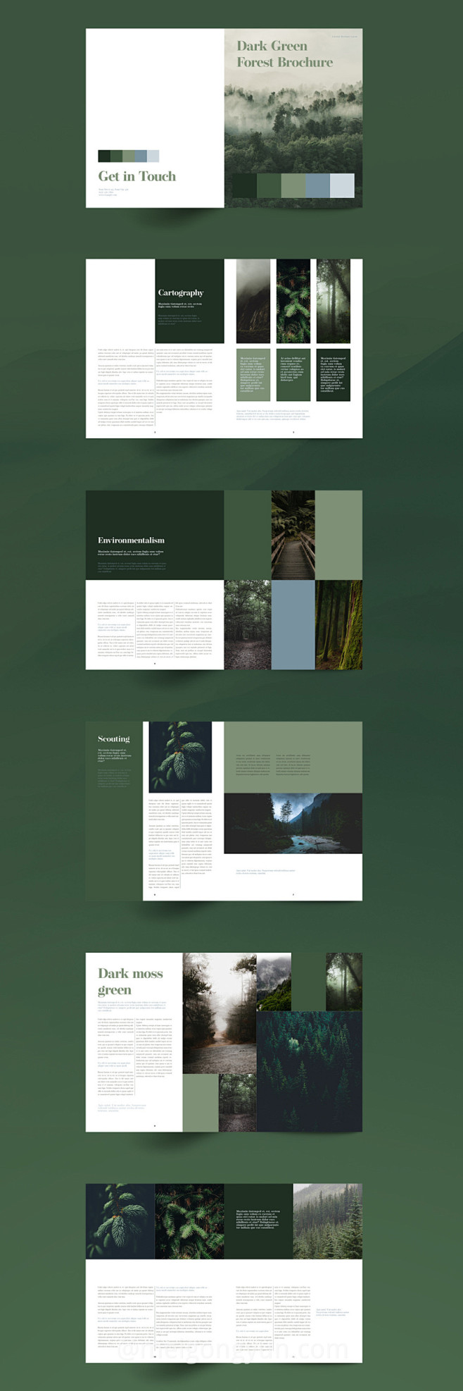 绿色主题森林杂志宣传册设计模板 :  