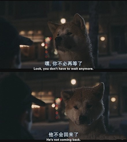 忠犬八公