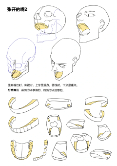 李茶得采集到#T人物体态素材