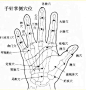 【图】曲黎敏：人的所有秘密都在五个手指头上