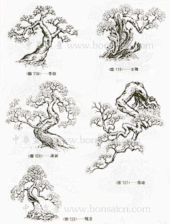 用户V29JhUAB采集到自有产品