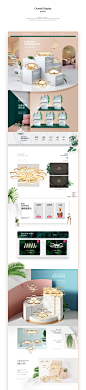 布兰琪品牌视觉策略分享_店铺首页_色环-致设计