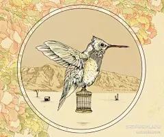 牙买加Gabriella Barouch 插画作品欣赏