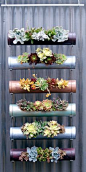 opciones-para-jardines-verticales (23)