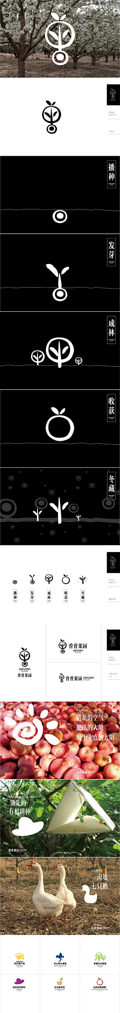 EvaP采集到插画