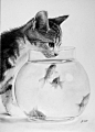 These Animal Pictures Are Not Photographs: they are meticulous line drawings done by DeviantArt member Franco Clun. The focus on detail is incredible in this drawing and at first glance it seems almost impossible to tell that this is a drawing and not a b