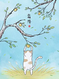 霜降24节气卡通手绘插画海报宣传