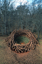 The Clemson Clay Nest 是一个公共艺术，来自巴伐利亚艺术家 Nils-Udo