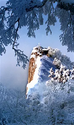 采集图片