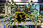 在fendi（芬迪）位于东京银座的大型pop-up精品店（游击店）里，日本花卉艺术家azuma makoto在这座大楼的天花板上悬挂了一棵“皮草树”，这个植物艺术装置位于人们的头顶上，俯瞰着过往的行人和购物的人群。makoto利用许多不同的介质来制作主树干，比如苔藓和树皮等等，它们赋予了整个作品一种超现实的质感，从树枝上长出来的并不是花儿和树叶，而是fendi标志性的毛球，蓝色和绿色的毛球附着在茎干的末端，将自然带进了服装店里，形成一种超现实的景象