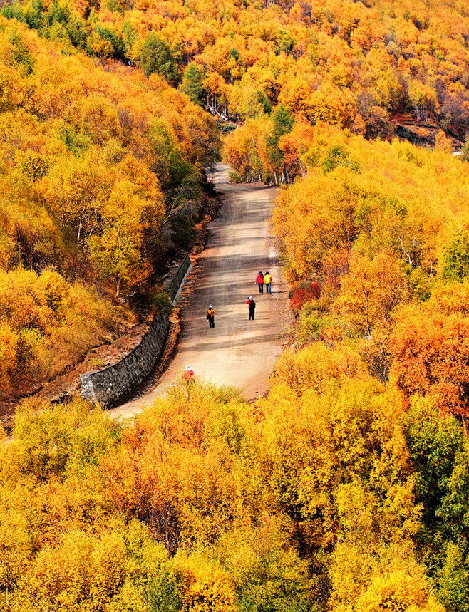 风景 背景 (5884)