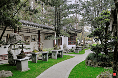 小阿米设计师采集到盆景园
