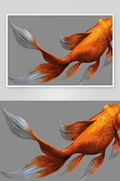 金鱼鲤鱼插图中国风水墨画手绘艺术小鱼-众图网