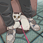 This may contain: a white cat sitting on top of a pair of shoes next to someone's legs