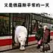 耶耶耶i