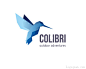 Colibri蜂鸟logo