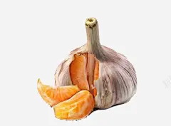 特色食物宣传海报 页面网页 平面电商 创意素材