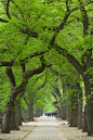 旅行,旅游目的地,自然,风景,摄影_200408025-001_创意图片_Getty Images China