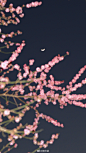 0067cVtPly1hbfxmkmfvpj328w3ztkjn.jpg (2912×5177)