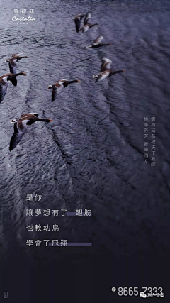 棒打老虎鸡采集到WeChat | 节日