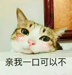 “今天迟到了，要亲亲才跑得快...”    #表情包#