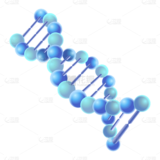 手绘-初高中课程辅导贴纸-DNA