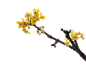 3c82ae051fec1ac10111d9b4aa740d43d10b1832c1a5e-jtUmvX_fw1200