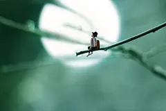 孤单星球lost7 #背景图# #治愈系# #壁纸#绘本 小清新 