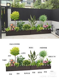 周周qu采集到花箱