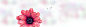 女装banner 