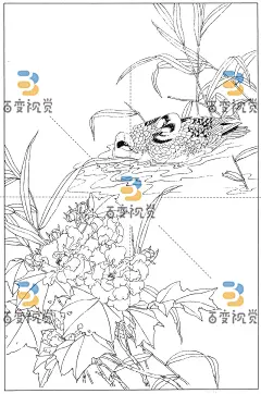 K24064-芙蓉11.jpg