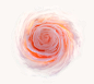 Aqueous Roses on Behance