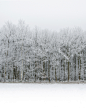 Photo by Fossflakes on January 03, 2022.