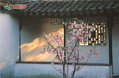 p_q668采集到窗
