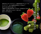 宇治抹茶苺トリュフ　お茶苺さん