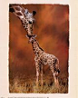 画家：西蒙【Simon Mendez】_野生动物长颈鹿装饰画：长颈鹿轻吻【Giraffe Kiss】_编号：【190179】