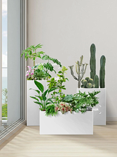 室内盆栽-花瓣网|陪你做生活的设计师 | 办公室内花箱绿植隔断丨企业绿植租赁新方案