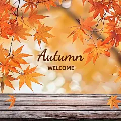 insMind Fall Colors Autumn Fashion Collection Templates