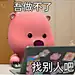 男网友