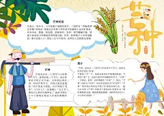 芒种节气手抄报小报