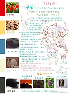 插画超话#画里的故事# 我的家乡特产拟人，思路过程#遇见艺术##插画# ​​​​